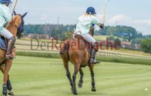 0031-Kathrin_Gralla-unbenannt 