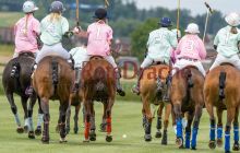 0034-Kathrin_Gralla-unbenannt 