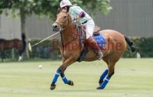 0040-Kathrin_Gralla-unbenannt 