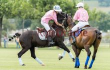 0059-Kathrin_Gralla-unbenannt 