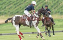 0165-Kathrin_Gralla-unbenannt 