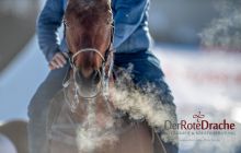 0045-Kathrin_Gralla-SnowPolo_2020_Day_1 