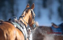 0056-Kathrin_Gralla-SnowPolo_2020_Day_1 