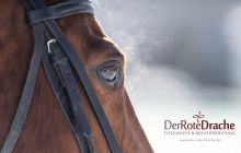 0064-Kathrin_Gralla-SnowPolo_2020_Day_1 