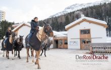 polo grooms in the stables preparing the ponies 