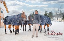polo grooms in the stables preparing the ponies 