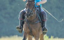 0080-Kathrin_Gralla-Stuttgart_Polo_Club 