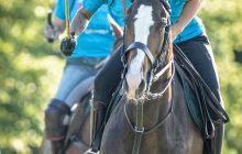 0094-Kathrin_Gralla-Stuttgart_Polo_Club 