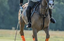 0116-Kathrin_Gralla-Stuttgart_Polo_Club 