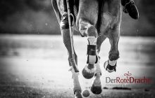 0120-Kathrin_Gralla-Stuttgart_Polo_Club 