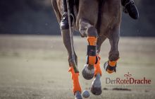 0121-Kathrin_Gralla-Stuttgart_Polo_Club 