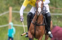 0001-Kathrin_Gralla-Summer_Polo 
