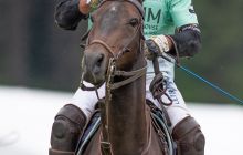 0056-Kathrin_Gralla-Summer_Polo 