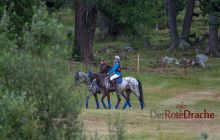 0058-Kathrin_Gralla-Summer_Polo 