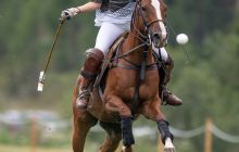 0079-Kathrin_Gralla-Summer_Polo 