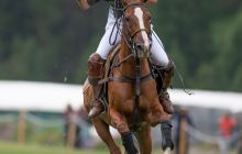 0080-Kathrin_Gralla-Summer_Polo 