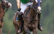 0101-Kathrin_Gralla-Summer_Polo 