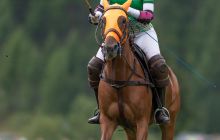 0113-Kathrin_Gralla-Summer_Polo 