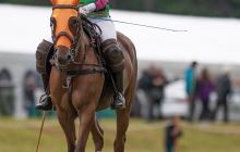 0115-Kathrin_Gralla-Summer_Polo 