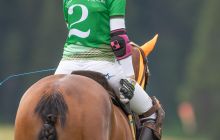 0120-Kathrin_Gralla-Summer_Polo 