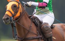 0121-Kathrin_Gralla-Summer_Polo 