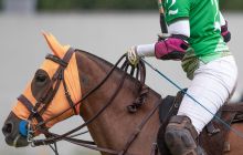 0143-Kathrin_Gralla-Summer_Polo 