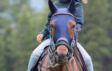 0153-Kathrin_Gralla-Summer_Polo 