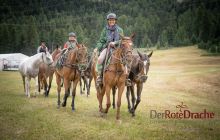 0166-Kathrin_Gralla-Summer_Polo 