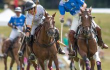 0188-Kathrin_Gralla-Summer_Polo 
