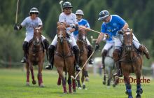0192-Kathrin_Gralla-Summer_Polo 