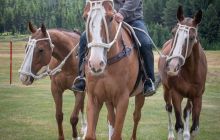 0209-Kathrin_Gralla-Summer_Polo 