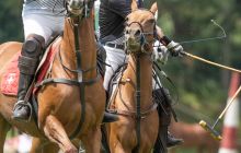 0222-Kathrin_Gralla-Summer_Polo 