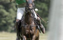 0264-Kathrin_Gralla-Summer_Polo 