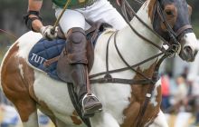 0284-Kathrin_Gralla-Summer_Polo 