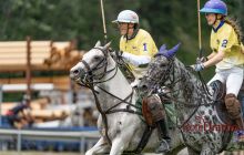 0312-Kathrin_Gralla-Summer_Polo 