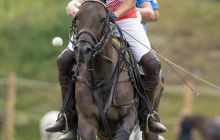 0318-Kathrin_Gralla-Summer_Polo 