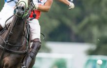 0336-Kathrin_Gralla-Summer_Polo 