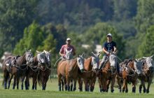 0031-Kathrin_Gralla-Swiss_Medium_Goal_2020_Day_1_web 
