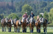 0032-Kathrin_Gralla-Swiss_Medium_Goal_2020_Day_1_web 