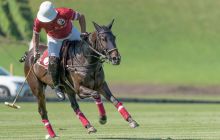 0047-Kathrin_Gralla-Swiss_Medium_Goal_2020_Day_1_web 