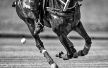 0048-Kathrin_Gralla-Swiss_Medium_Goal_2020_Day_1_web 