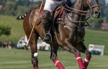 0049-Kathrin_Gralla-Swiss_Medium_Goal_2020_Day_1_web 