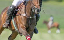 0052-Kathrin_Gralla-Swiss_Medium_Goal_2020_Day_1_web 