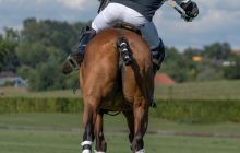 0056-Kathrin_Gralla-Swiss_Medium_Goal_2020_Day_1_web 