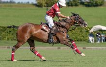 0066-Kathrin_Gralla-Swiss_Medium_Goal_2020_Day_1_web 
