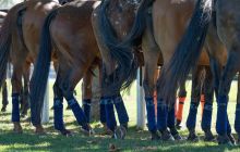 0079-Kathrin_Gralla-Swiss_Medium_Goal_2020_Day_1_web 