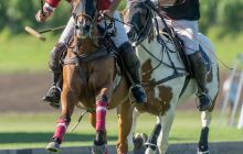 0115-Kathrin_Gralla-Swiss_Medium_Goal_2020_Day_1_web 