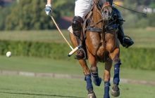 0150-Kathrin_Gralla-Swiss_Medium_Goal_2020_Day_1_web 