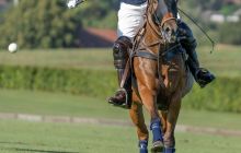 0151-Kathrin_Gralla-Swiss_Medium_Goal_2020_Day_1_web 