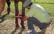 0168-Kathrin_Gralla-Swiss_Medium_Goal_2020_Day_1_web 